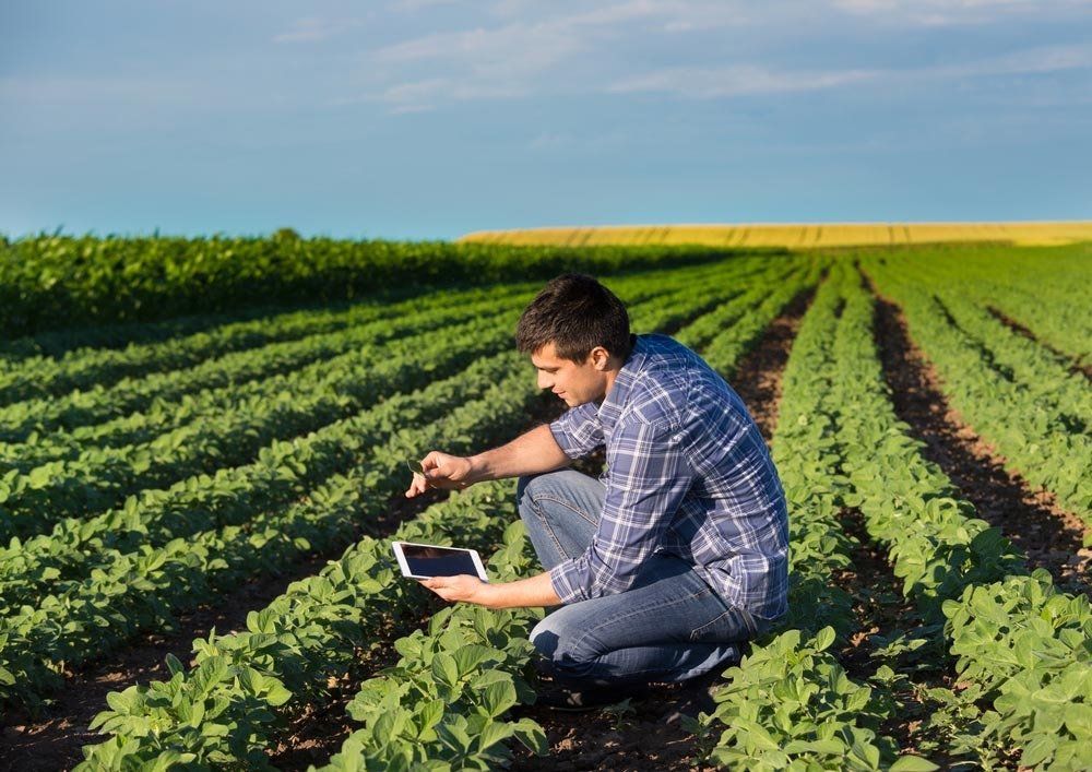 Smart Controllers — Irrigation Supplies in Yeppoon, QLD