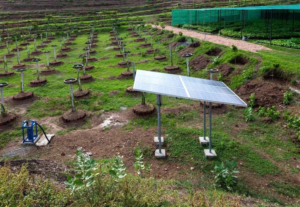 Solar Water Pump at Plantation — Irrigation Supplies in Yeppoon, QLD
