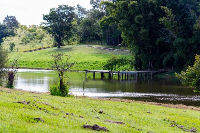 Pier no lago
