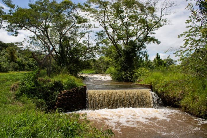 Uma pequena cachoeira no meio de uma floresta