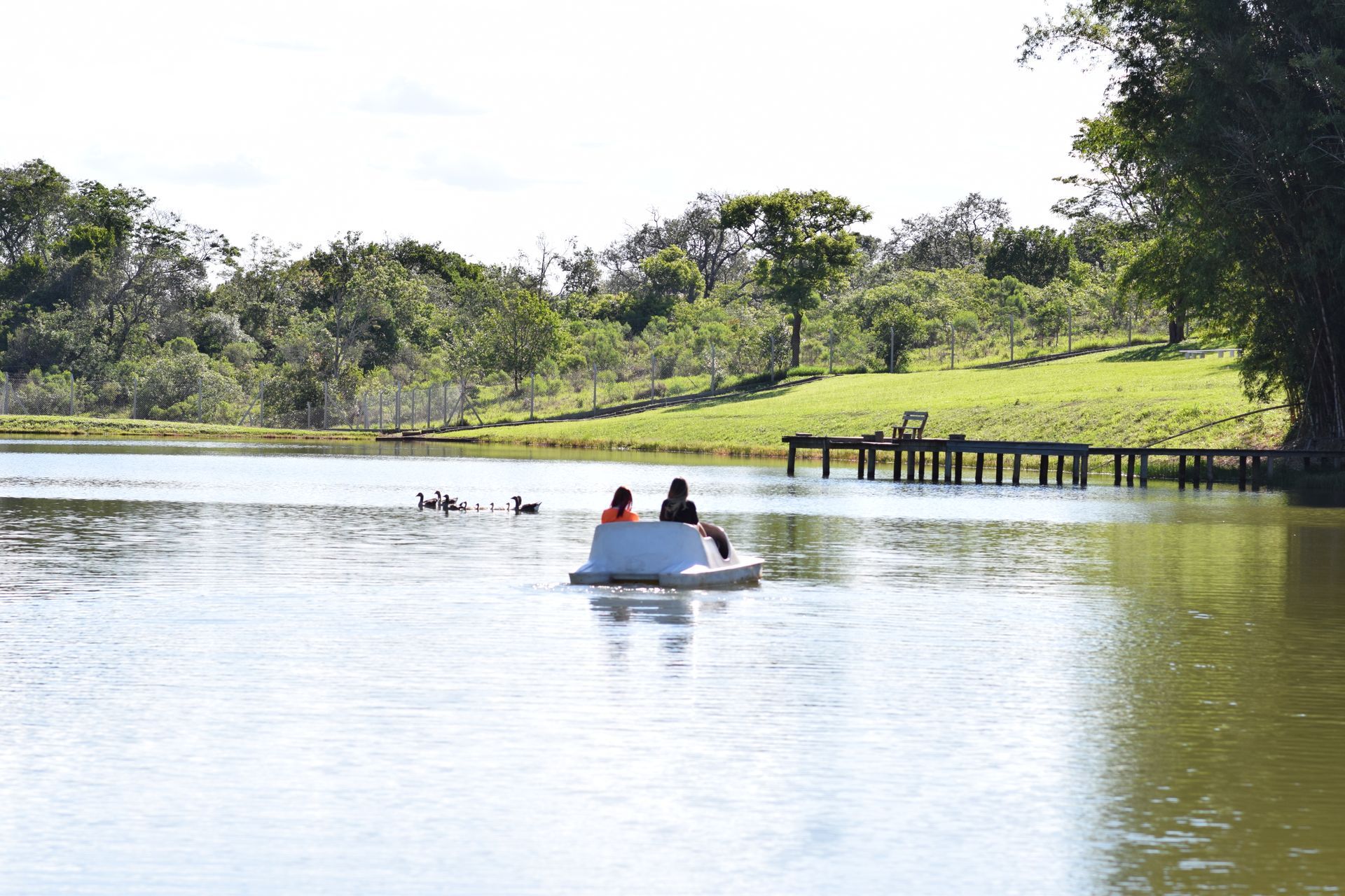 Duas pessoas estão andando de pedalinho em um lago.