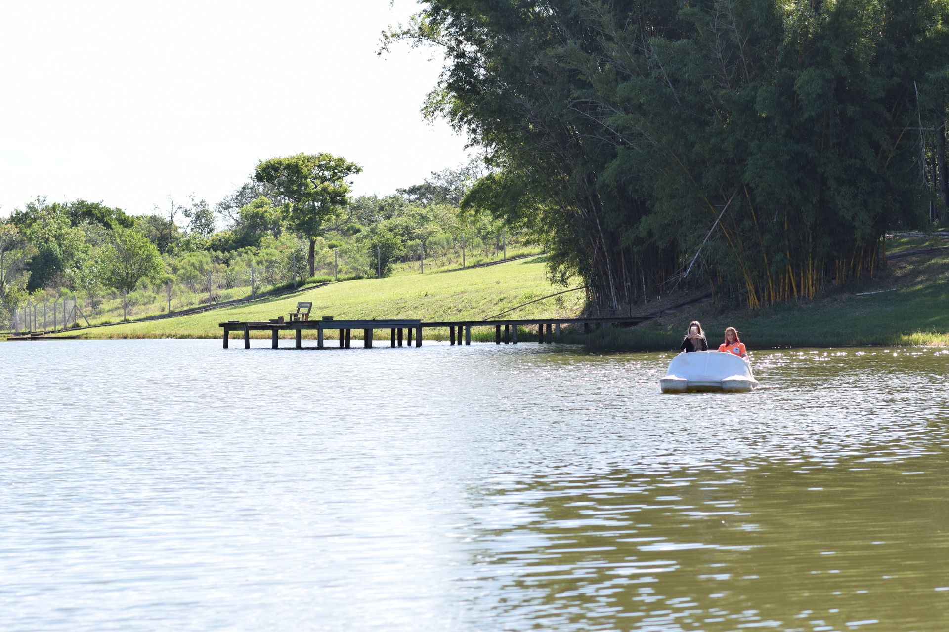 Duas pessoas estão andando de pedalinho em um lago
