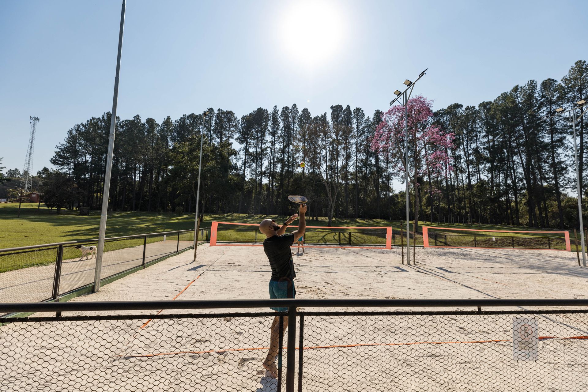 Um homem está jogando vôlei em uma quadra com árvores ao fundo.