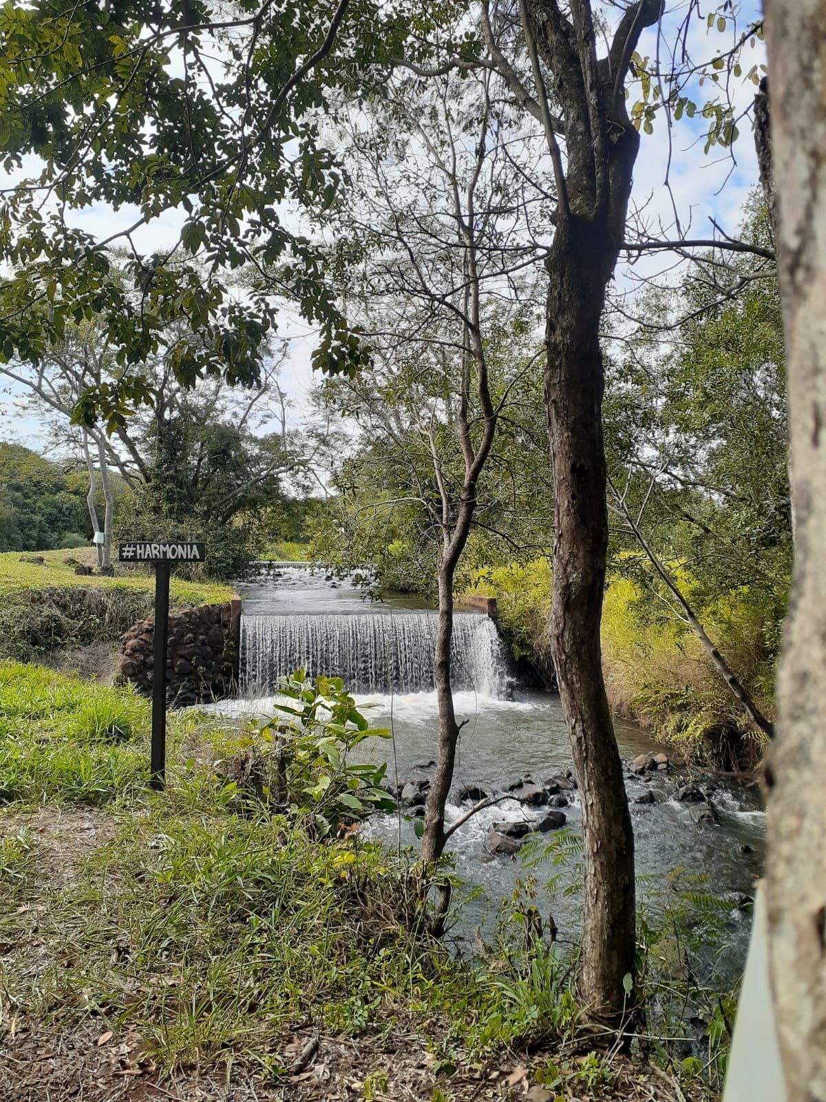 Uma pequena cachoeira cercada por árvores no meio de uma floresta.