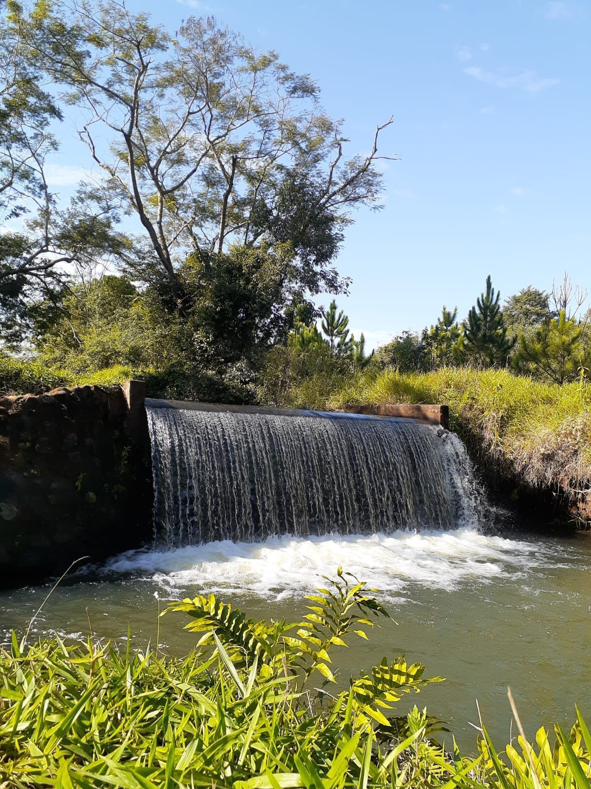 Uma pequena cachoeira cercada por árvores e grama em um dia ensolarado.