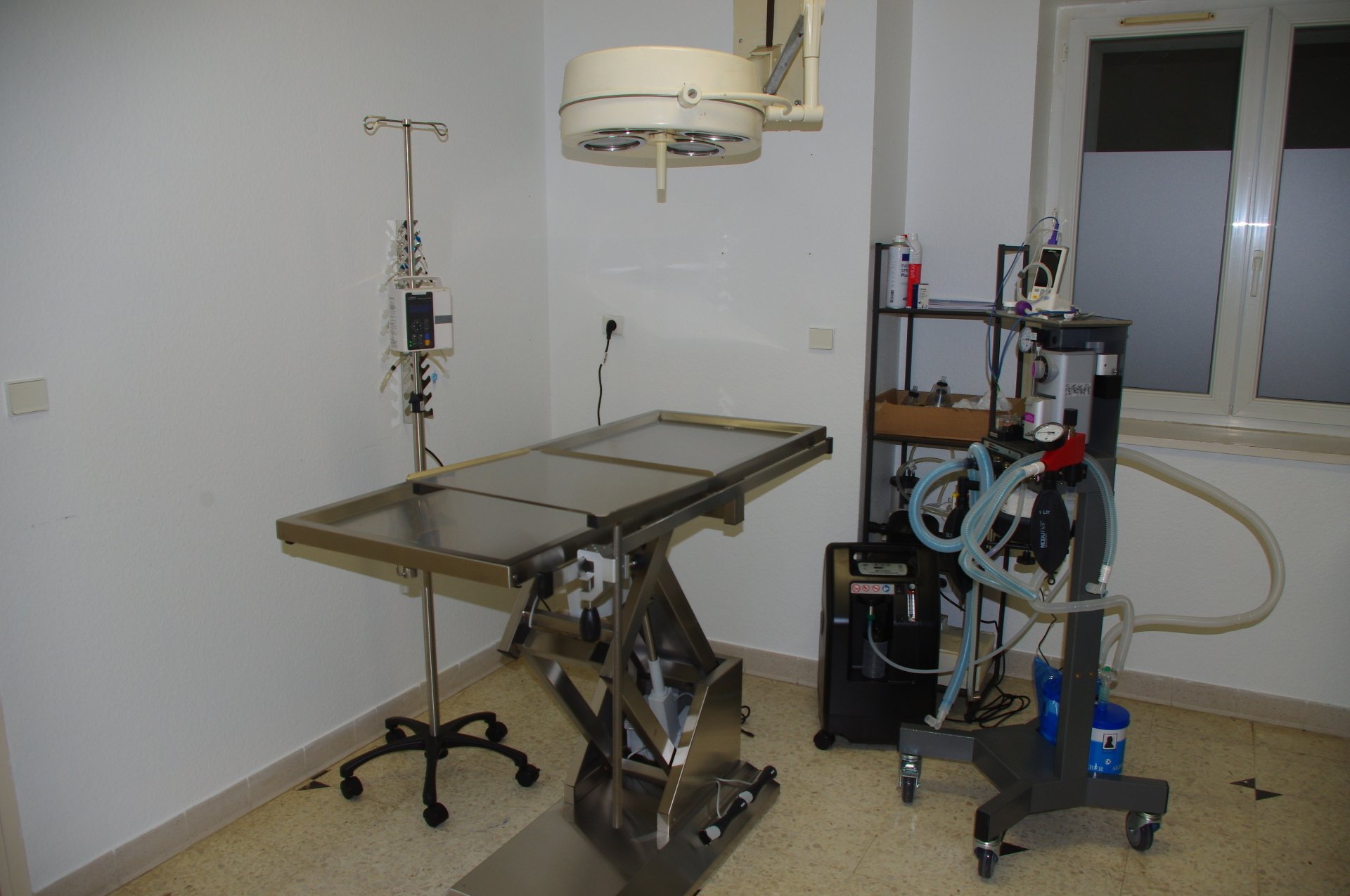 vétérinaire du Vaurais, vétérinaire chien, chat, NAC à Lavaur