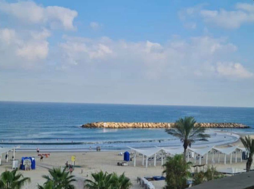 נורית ברכיה, שהעסק שלה צמח דרך א.מ.ת הפרח