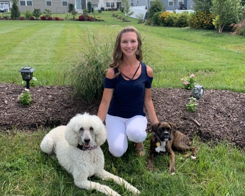 two cute and right dogs