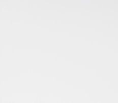 White background.