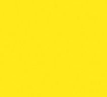 Solid bright yellow background.