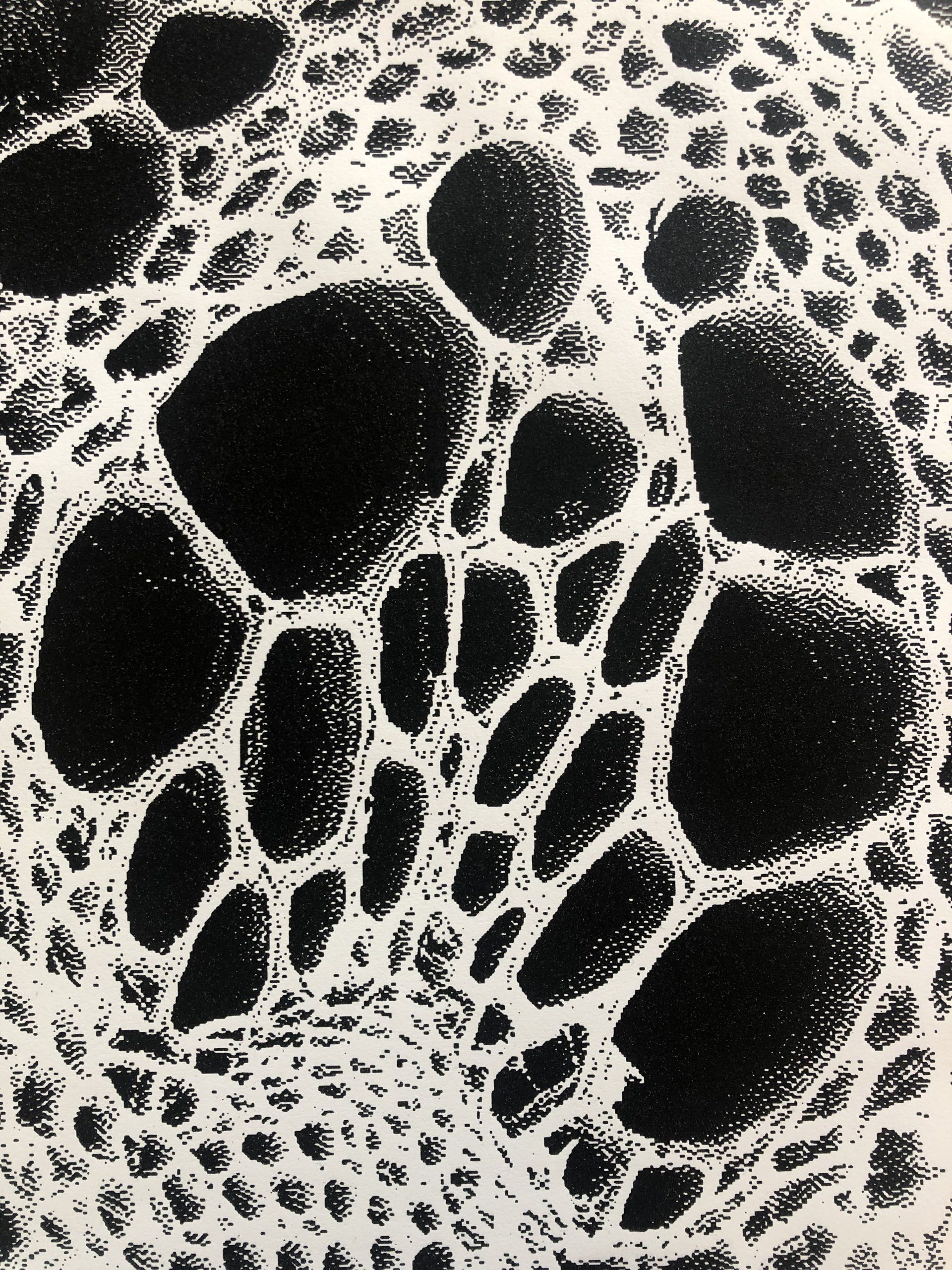 A black and white image of a leopard print