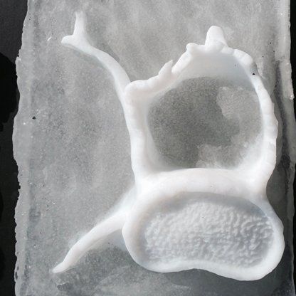 A white object is sitting on a piece of paper