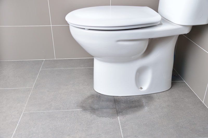 New Toilet Installed — Dempsey Plumbing in Narara
