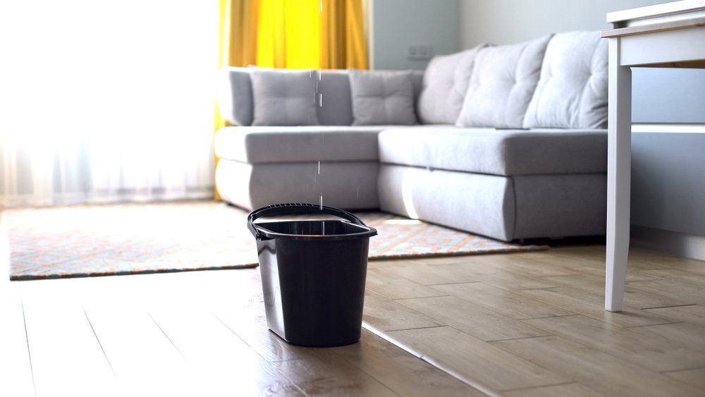 Water Dripping From Ceiling  — Dempsey Plumbing in Wyong