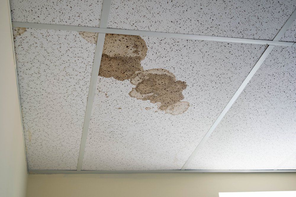 Brown Stain From Water Leak — Dempsey Plumbing In Erina