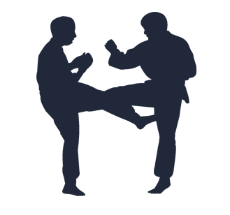 A silhouette of two men practicing karate on a white background.