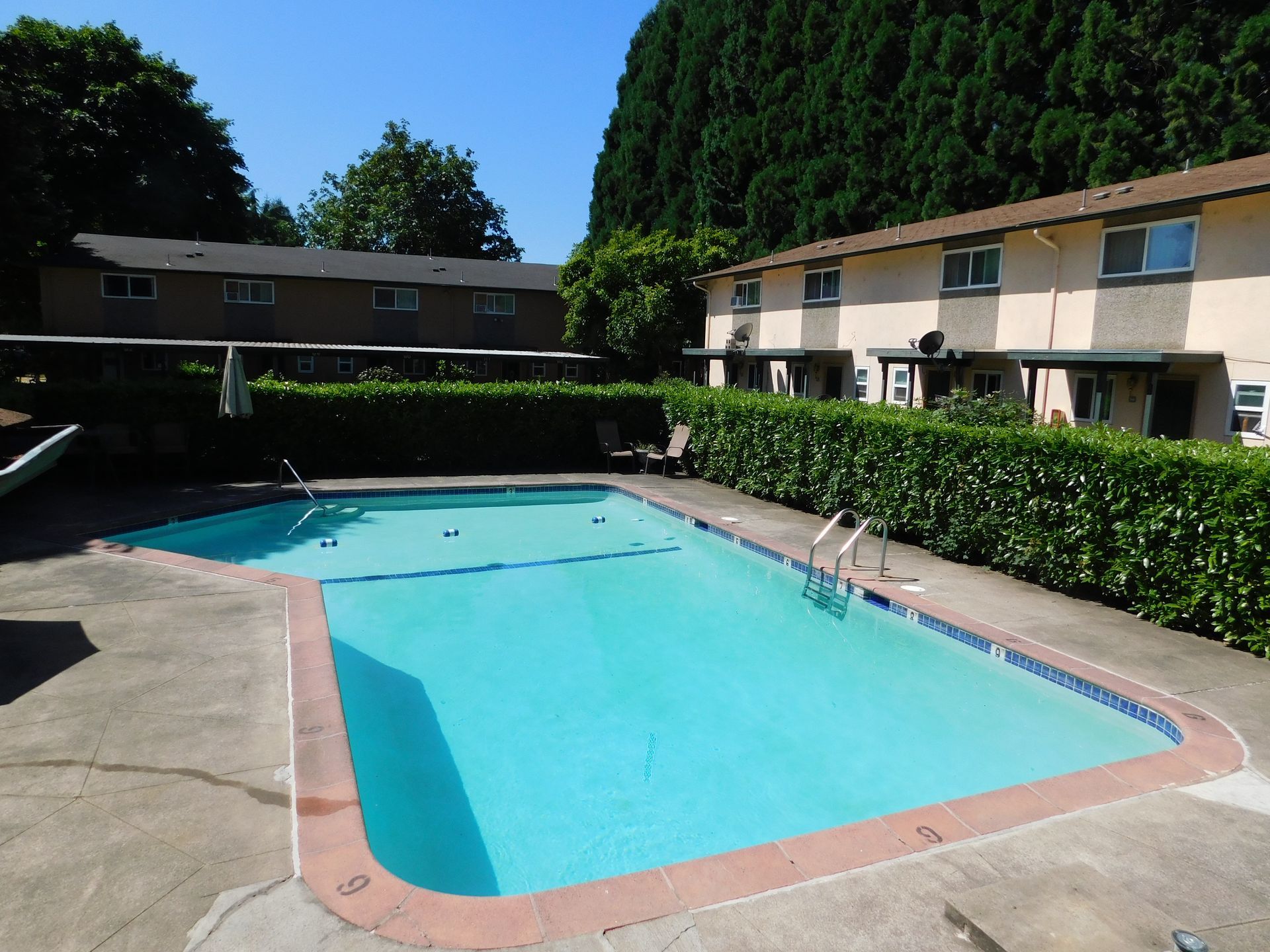 Swimming pool in front of multi-unit residential buildings; clear water, blue sky, green foliage.