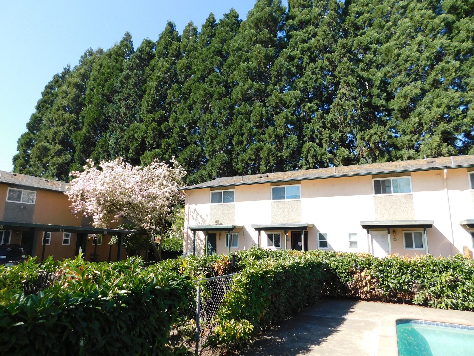 Apartment complex with pink walls, lush green hedge, and tall evergreen trees.