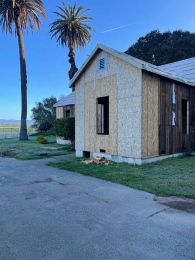 Small unfinished house with a wooden exterior beside a palm tree under a clear blue sky.