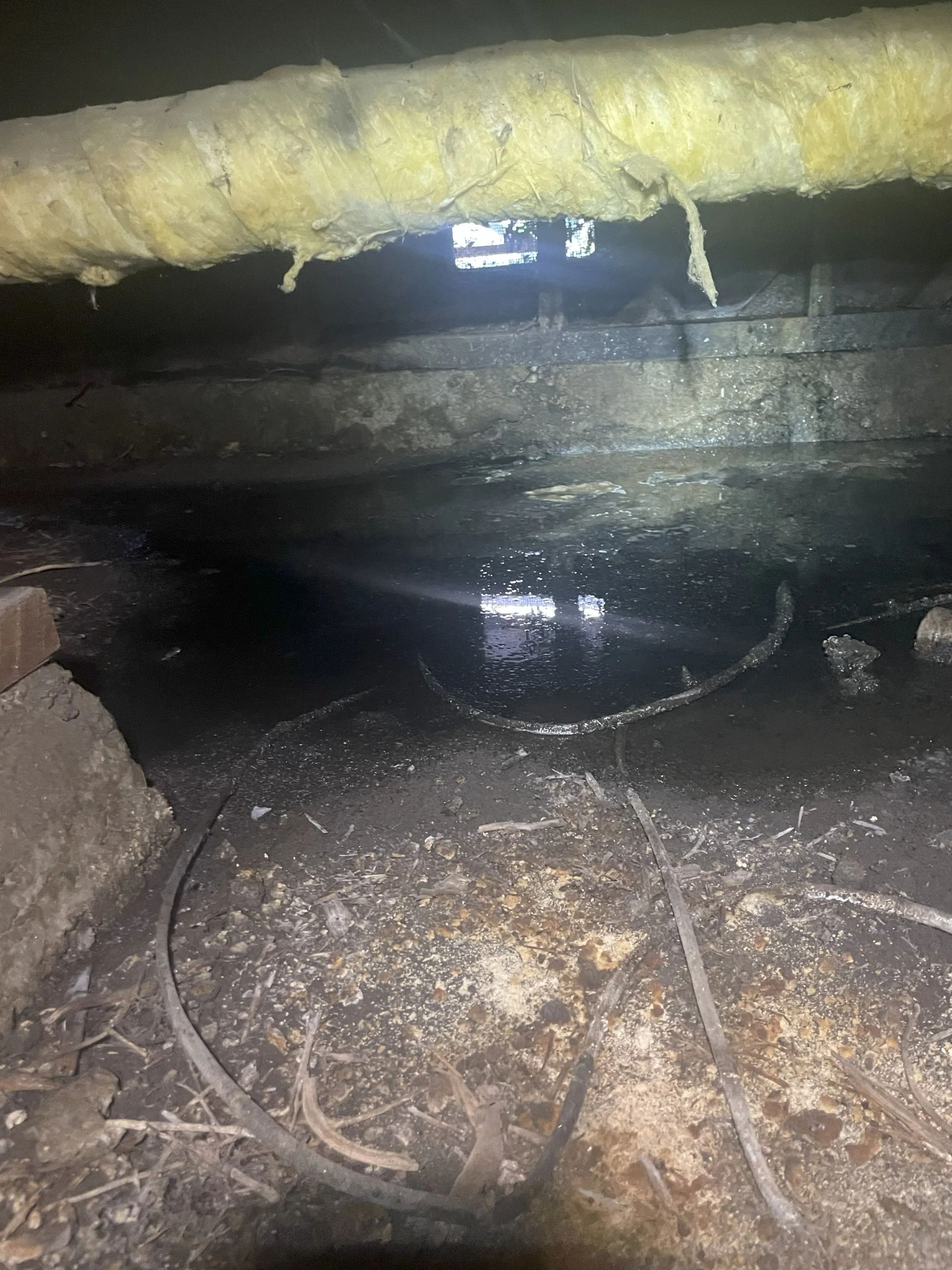 Dark underfloor crawlspace with pipes, debris, and a hanging insulation layer.