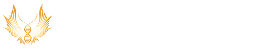 Metamorphosis Studios logo