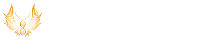 Metamorphosis Studios logo