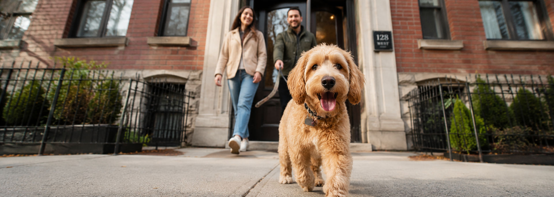 Renters taking their dog for a walk