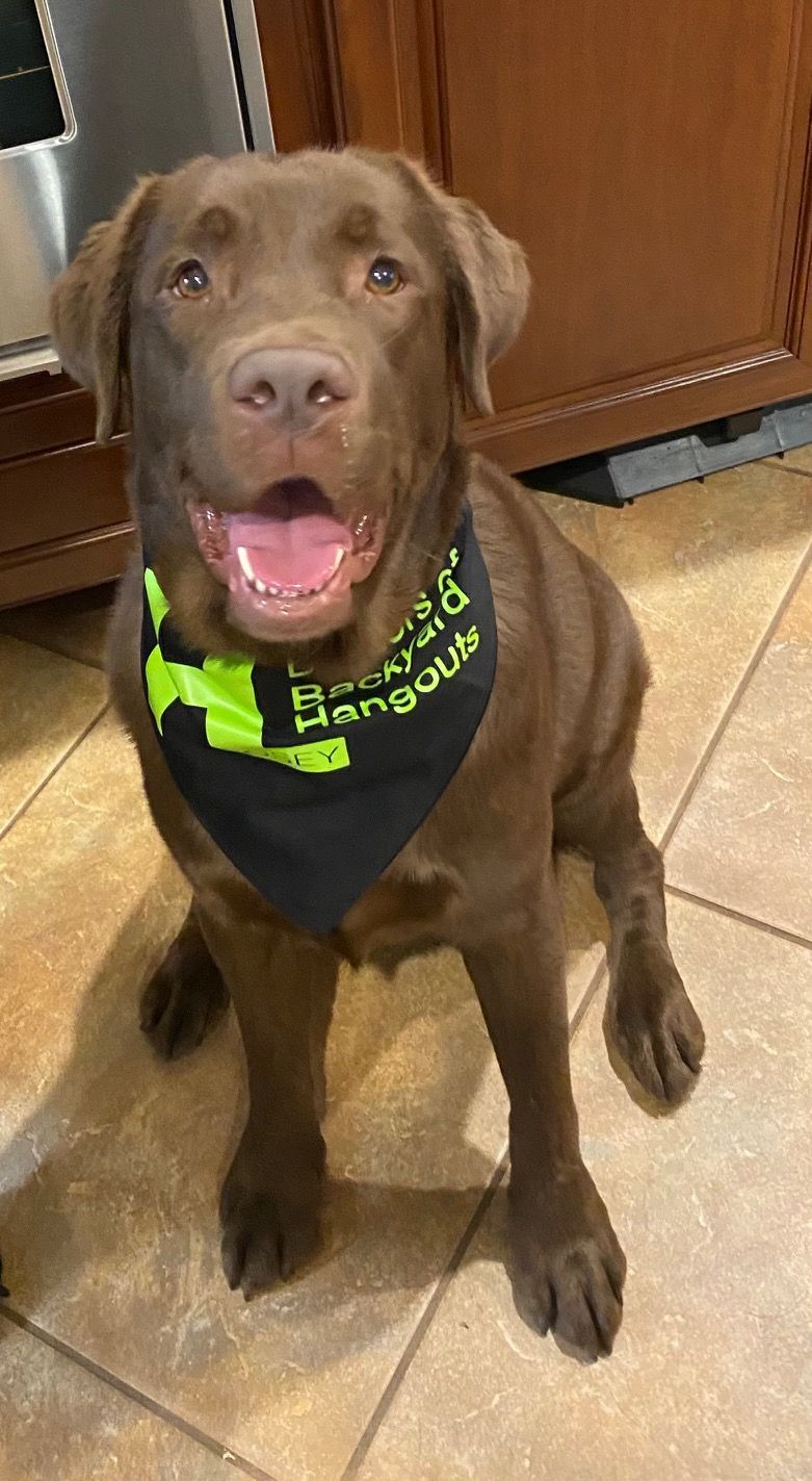 HL Posey mascot