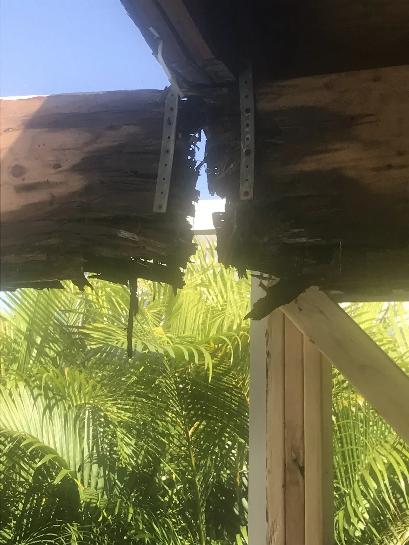 pavilion with structural wood rot