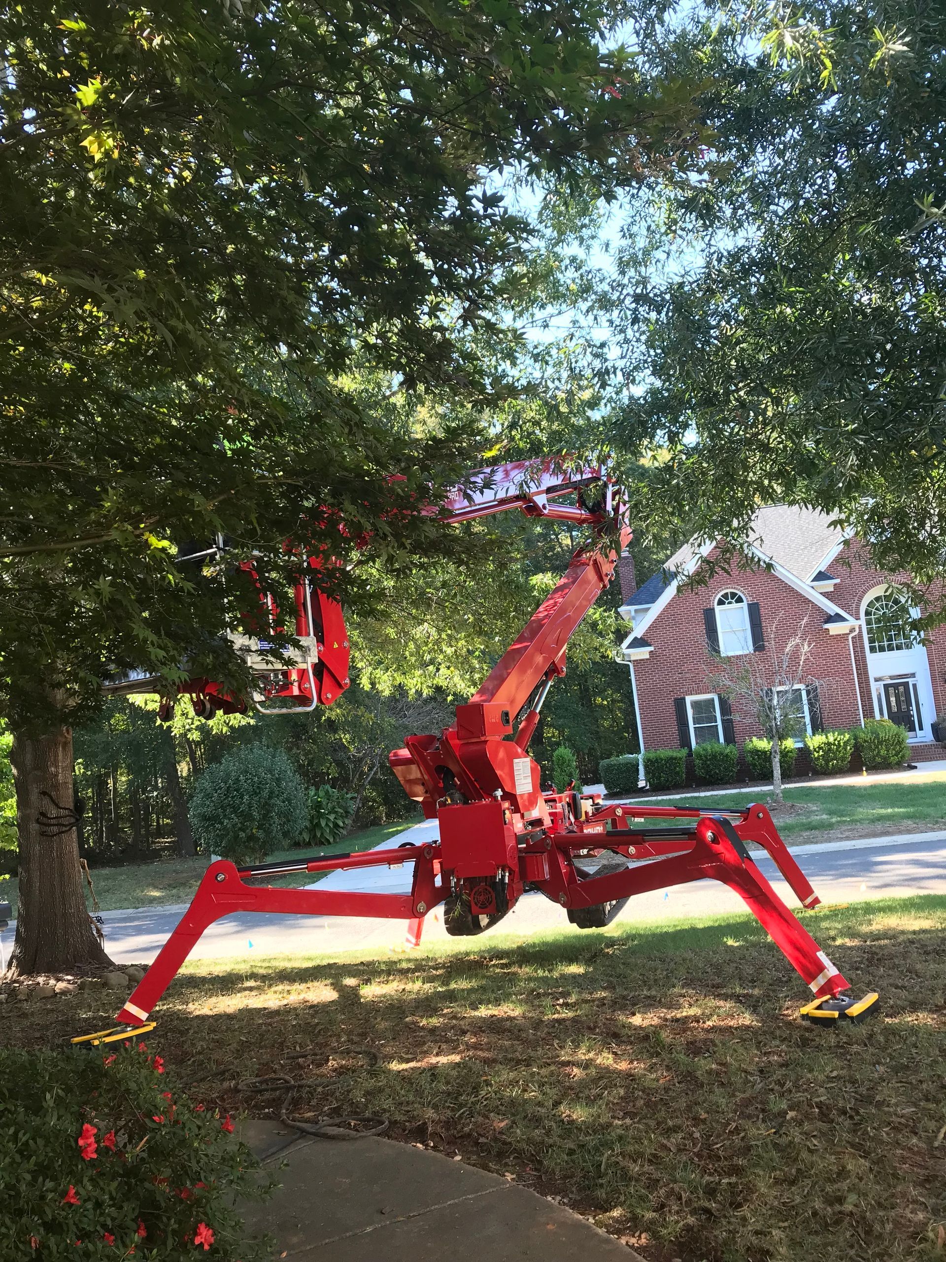 Tree Trimming Pensacola