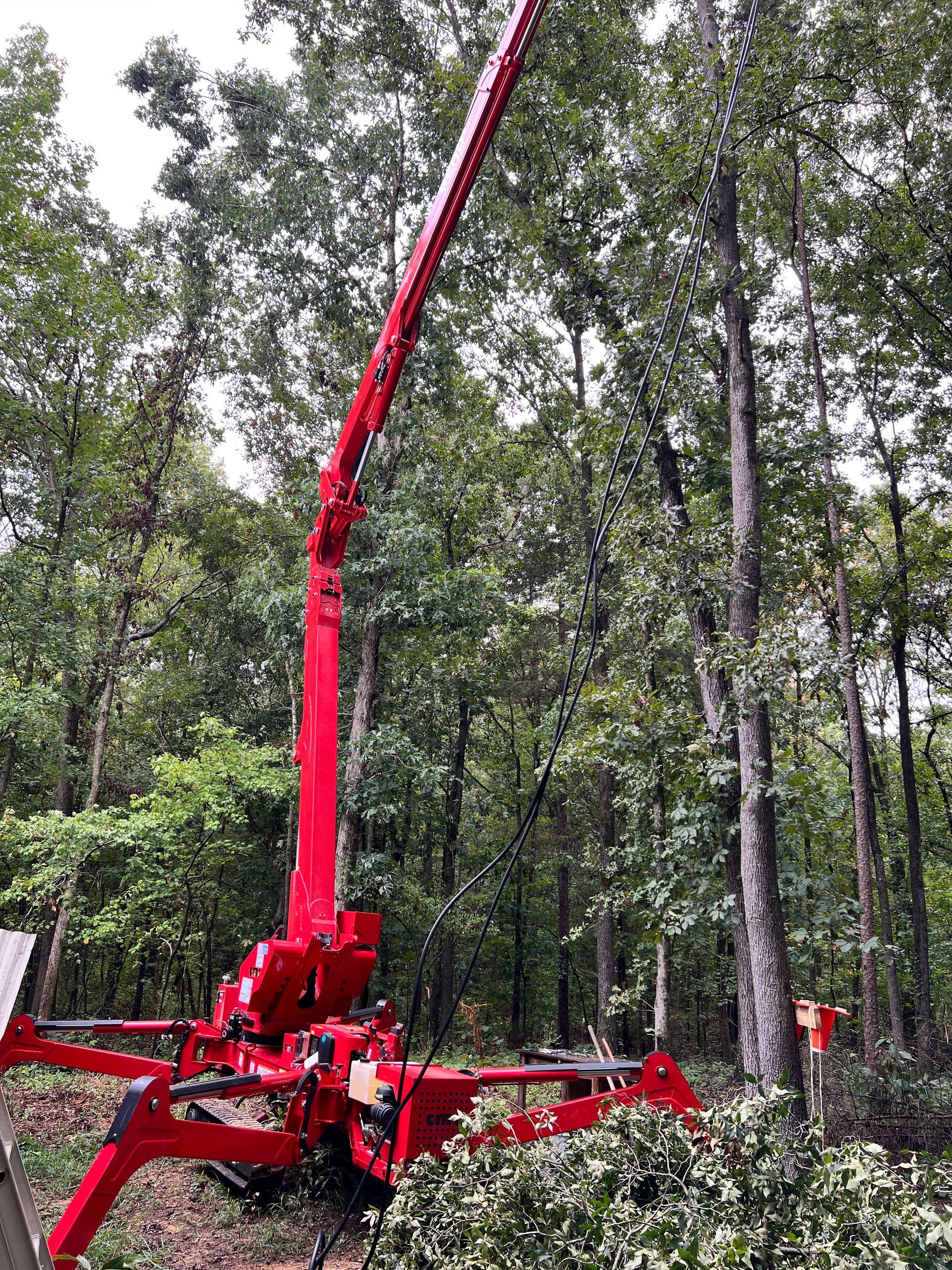 Tree Trimming Pensacola