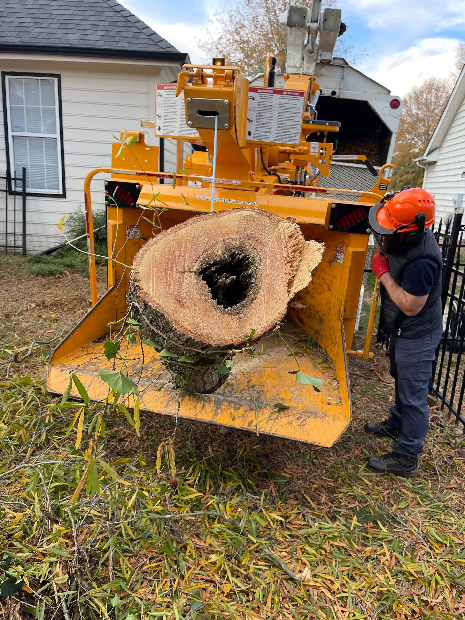 Tree Trimming Pensacola