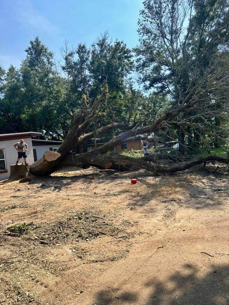 Emergency Tree Service Pensacola