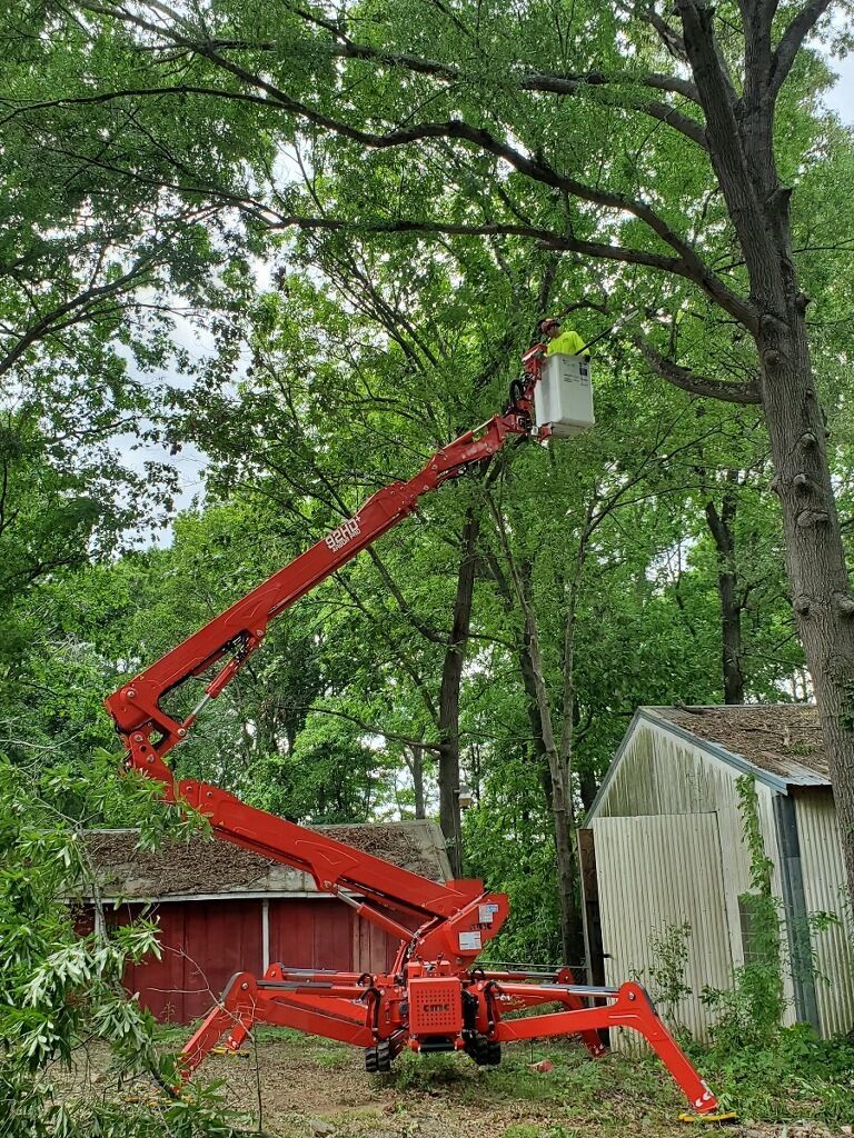 Tree Trimming Pensacola