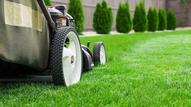 New Sod Maintenance — South Seaville, NJ — Novasack Turf Farms