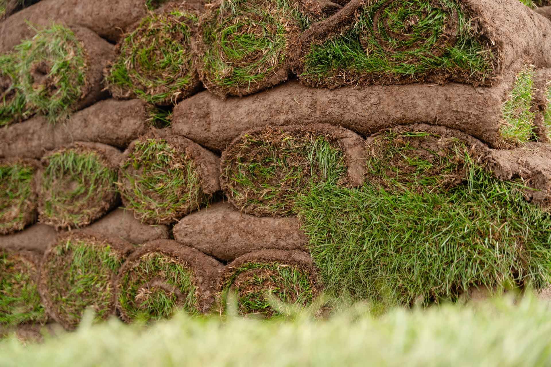 Freshly rolled sod ready for landscaping projects.