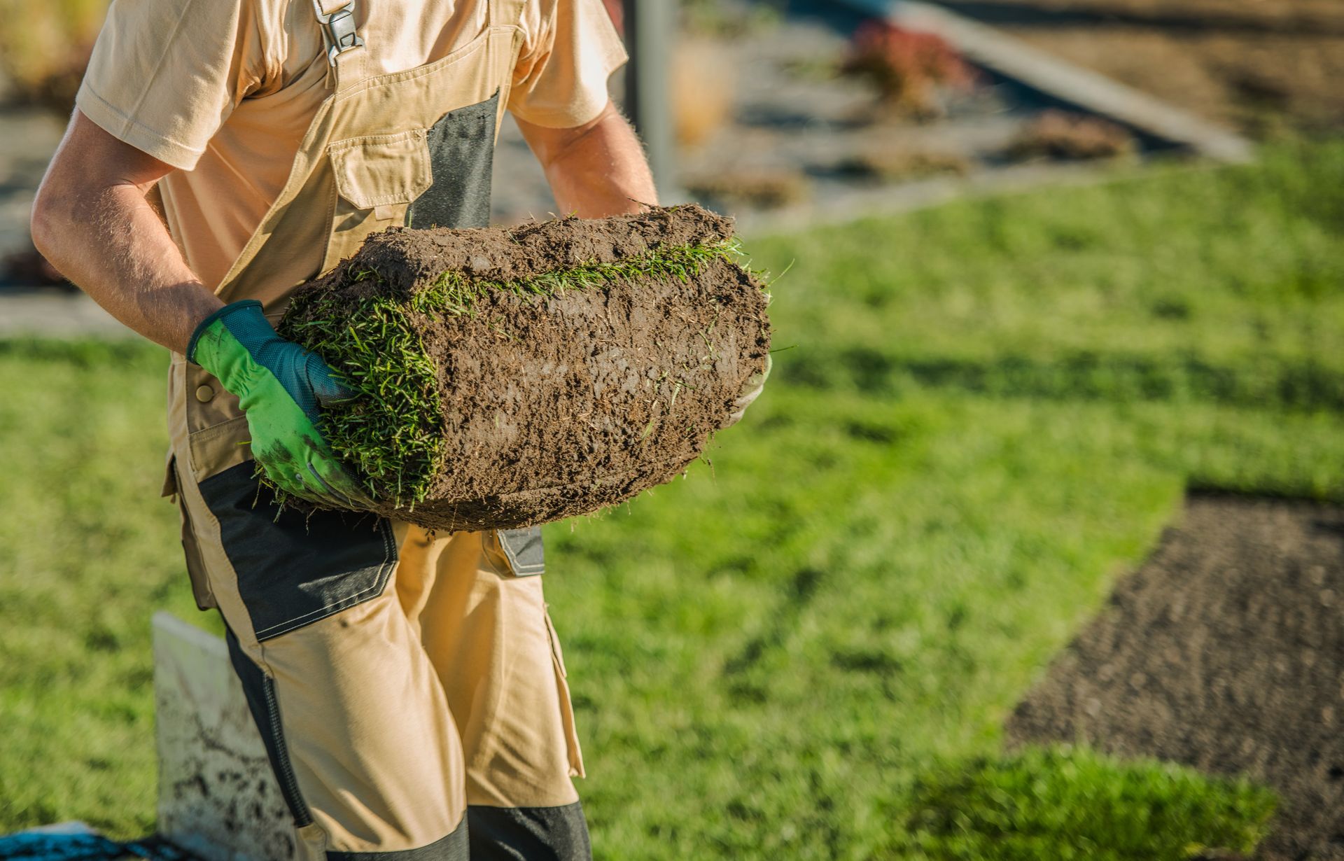 Landscaping worker carrying a roll of fresh sod across a lawn, preparing grass installation outdoors