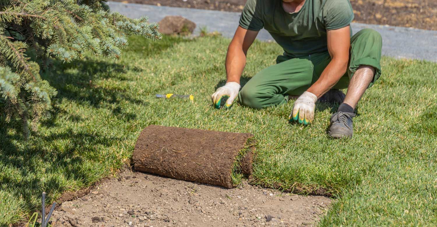 A man is installing sod.