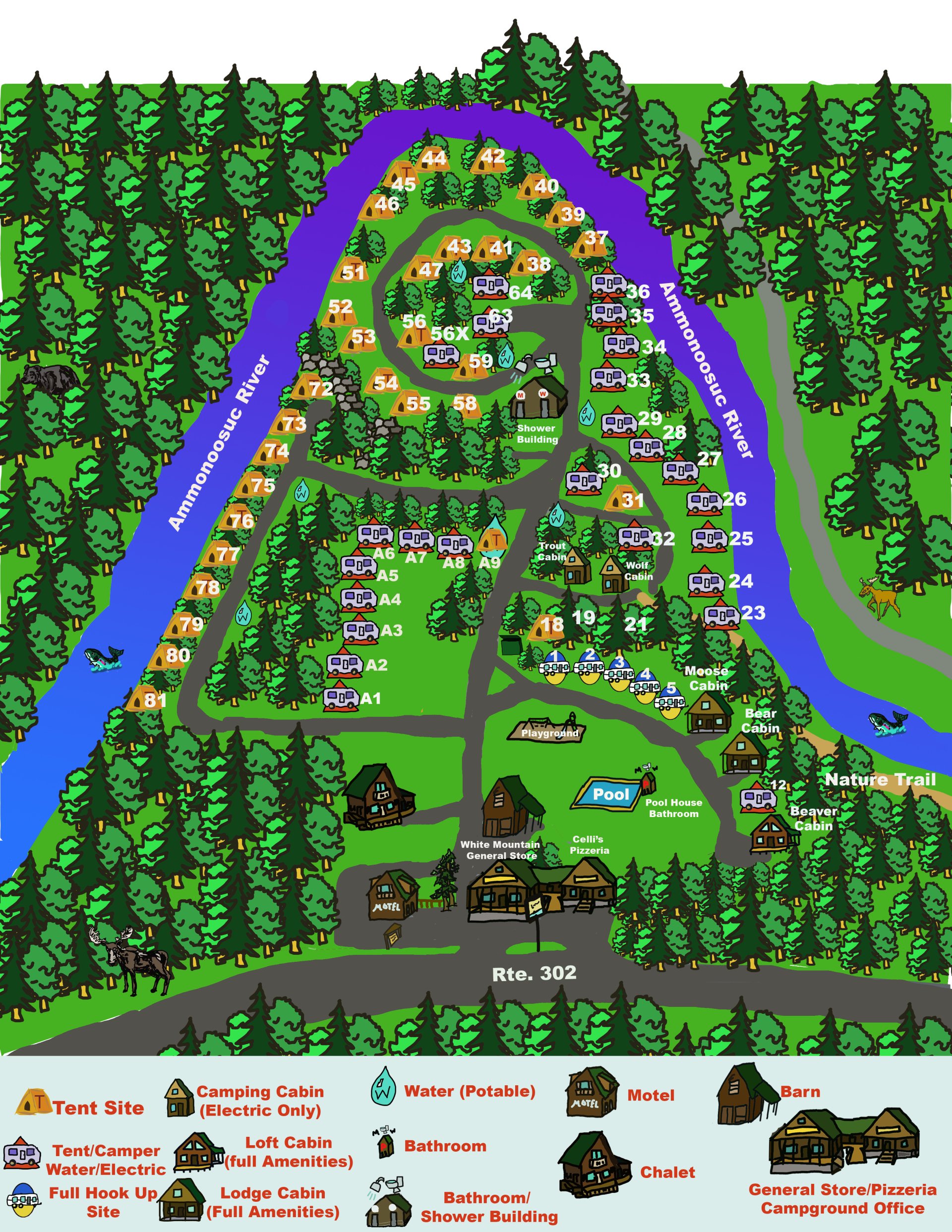 Campground Information Twin Mountain Campground New Hampshire
