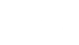 Amergy Investment Logo