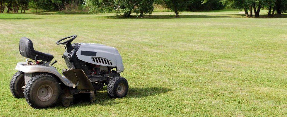 USE MY EXPERT GARDEN DESIGN SERVICE