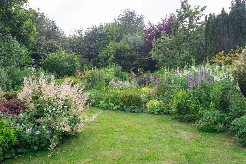 Large garden with landscaped area of trees, shrubs and flowers
