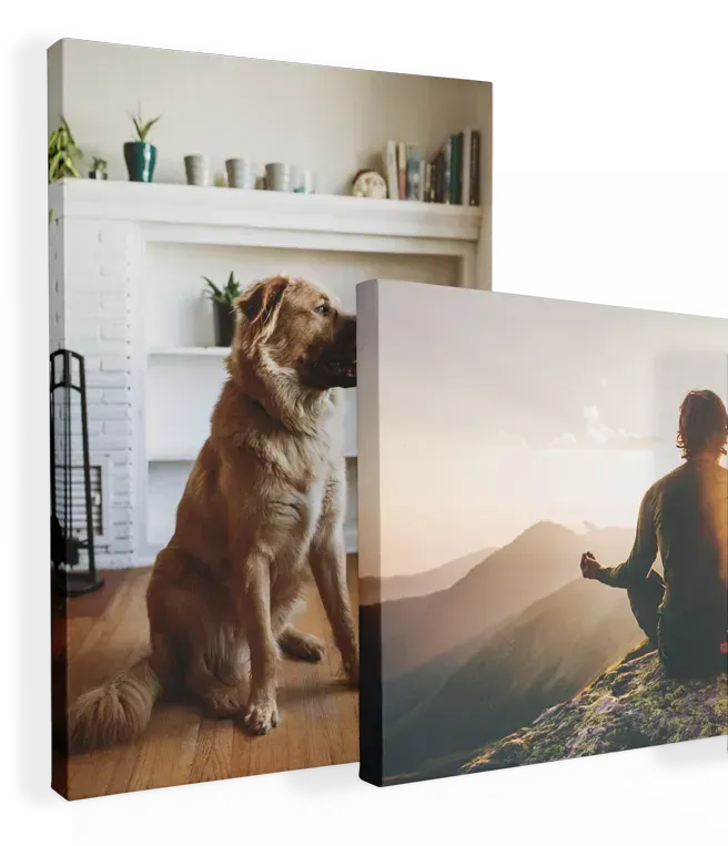 Large Canvas Print image