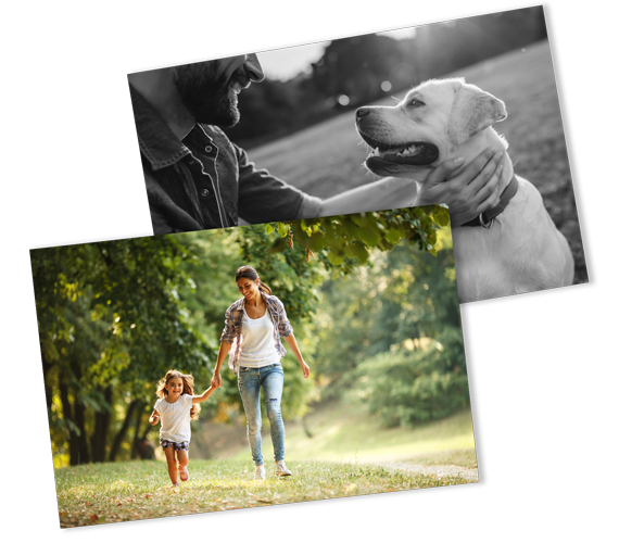 a woman and a child are walking a dog in a park .