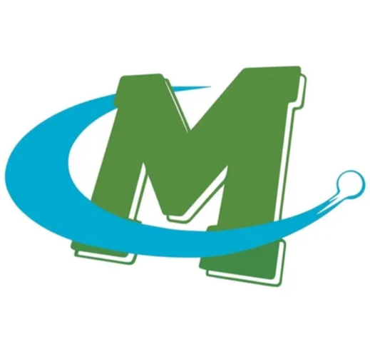 mason school transportation division system options