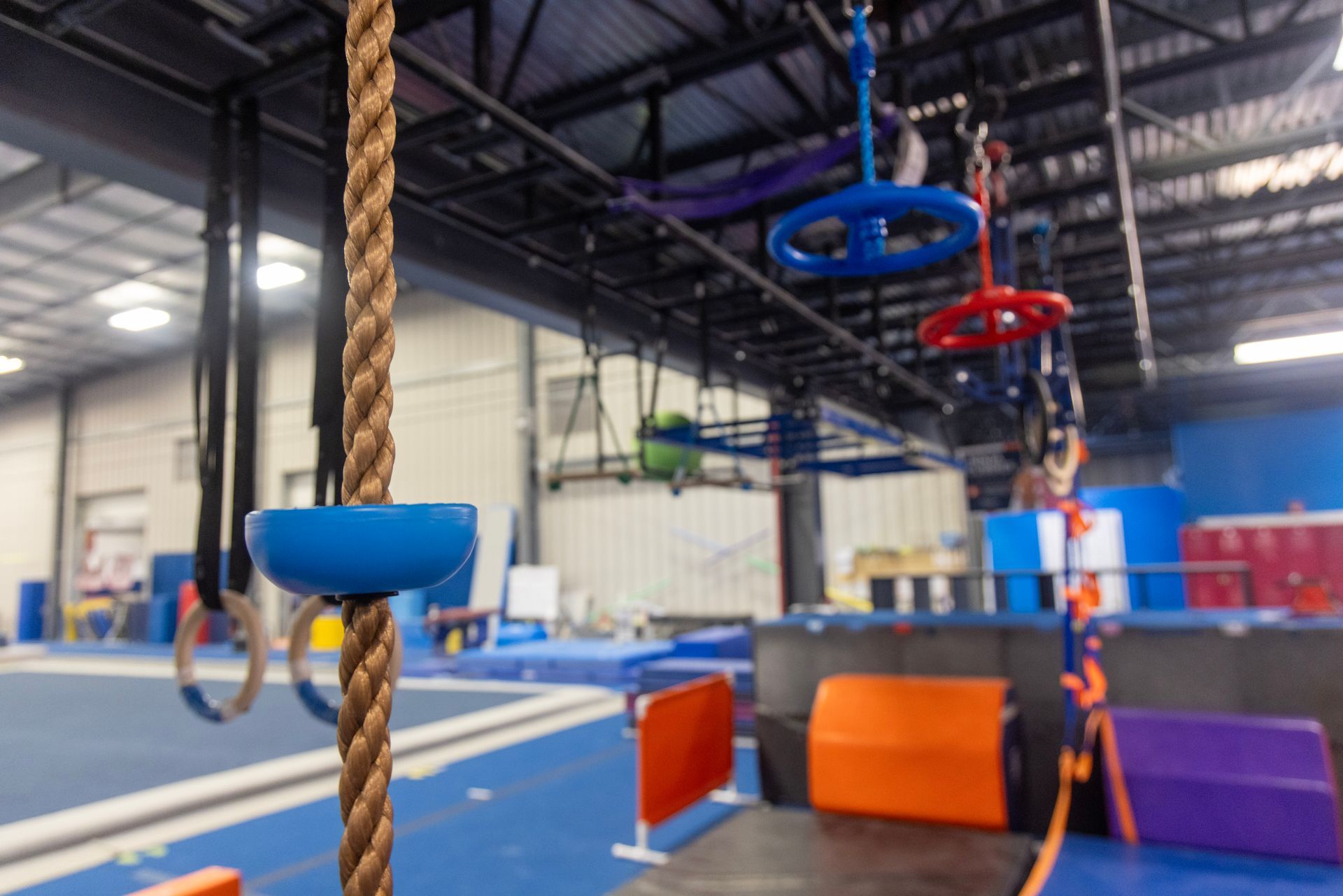Indoor obstacle course with hanging ropes, rings, and foam mats in a gymnasium.