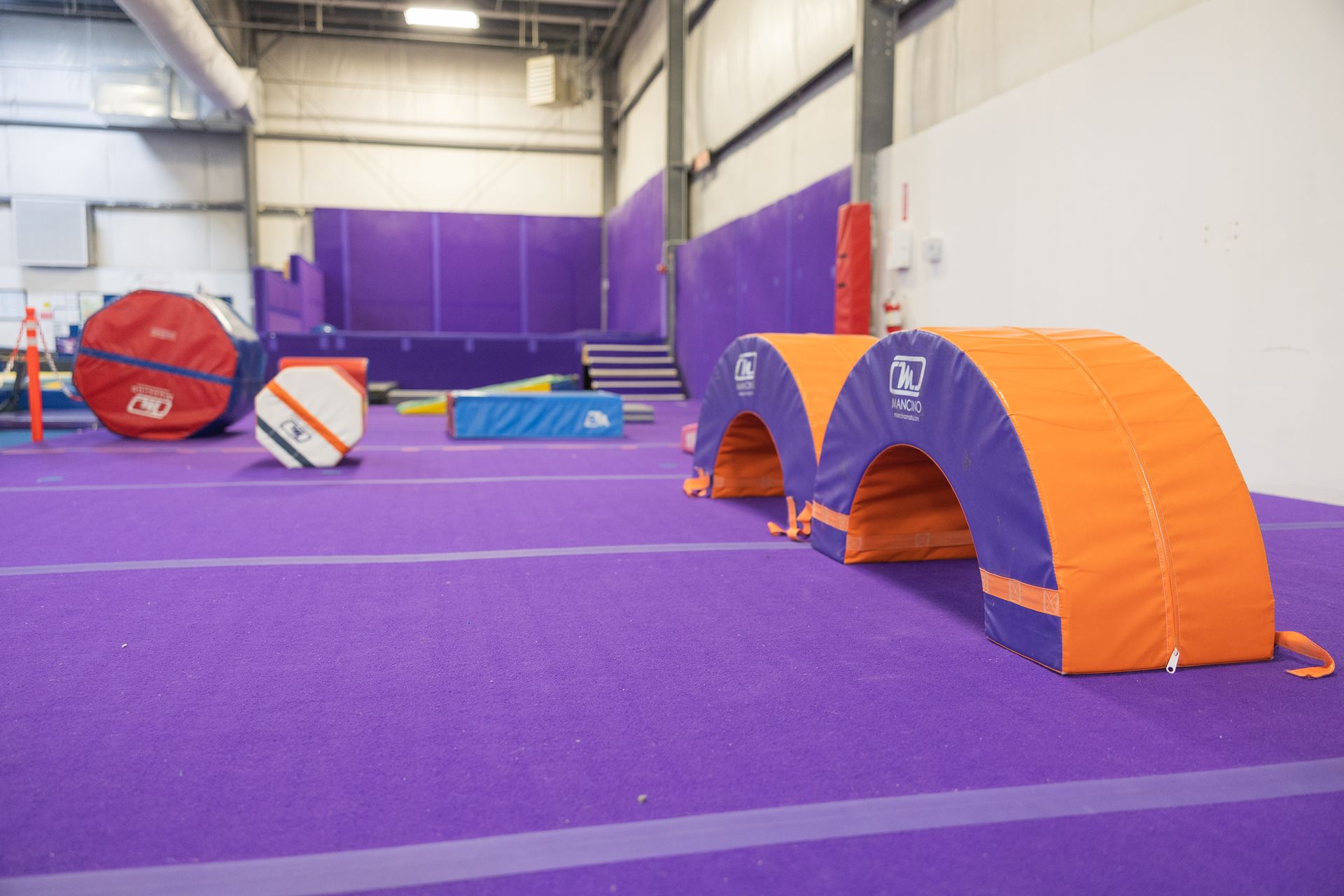 Indoor gym with purple floor, orange-and-purple agility tunnels, and other training equipment.
