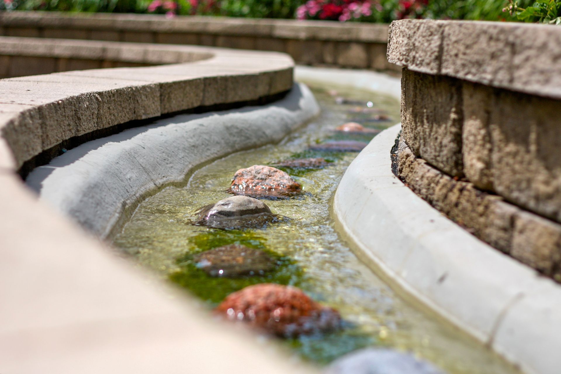 Curved stone fountain channels shallow water with small rocks and flowers
