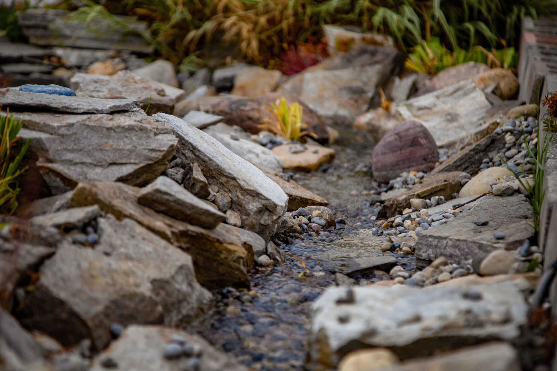 Rocky garden path with scattered stones and blurred plants along the edges