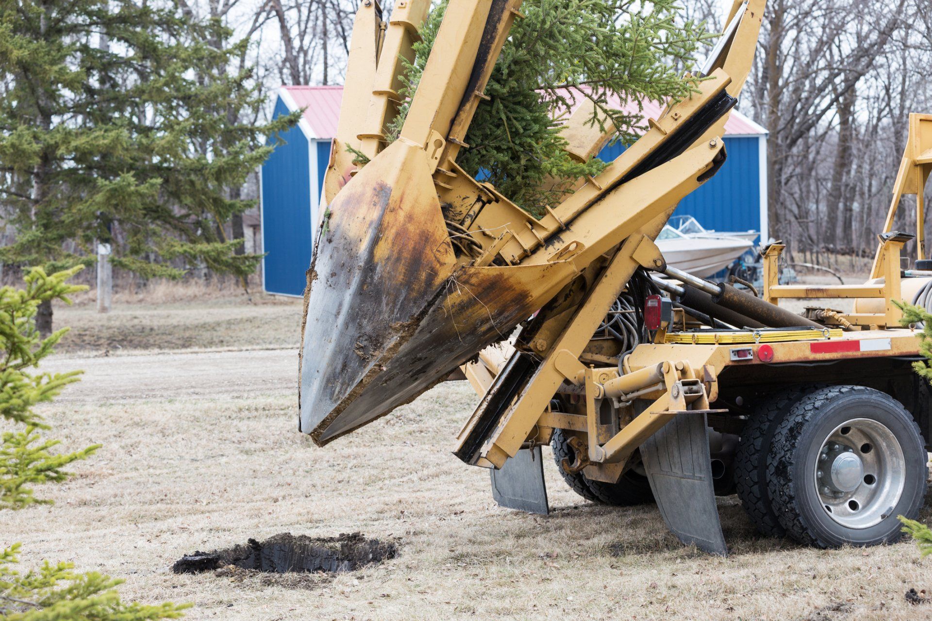Trees in the Park — Tree Nursery in Moorhead, MN